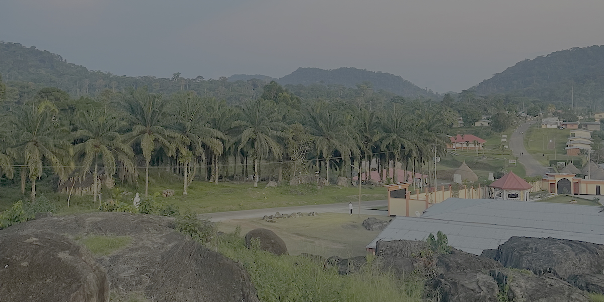 Country #75 Cameroon